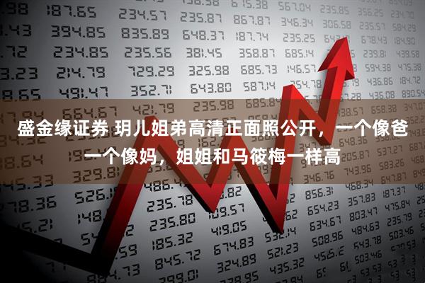 盛金缘证券 玥儿姐弟高清正面照公开，一个像爸一个像妈，姐姐和马筱梅一样高