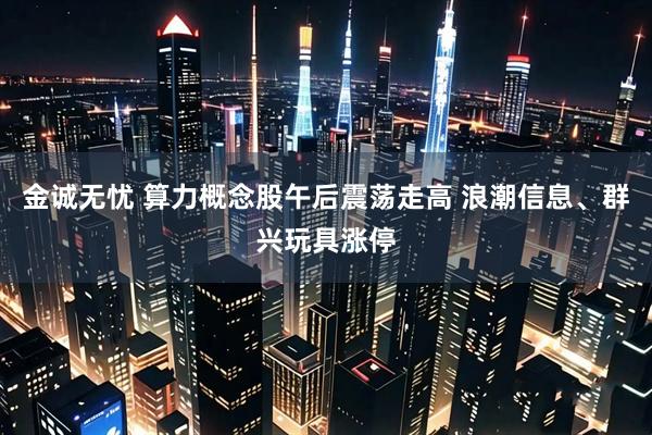 金诚无忧 算力概念股午后震荡走高 浪潮信息、群兴玩具涨停